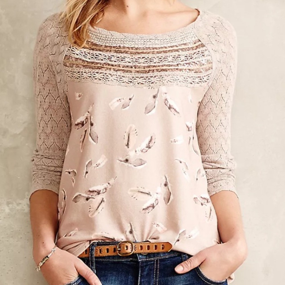 Anthropologie S Aves Lace-Trimmed Pullover New no Tag.